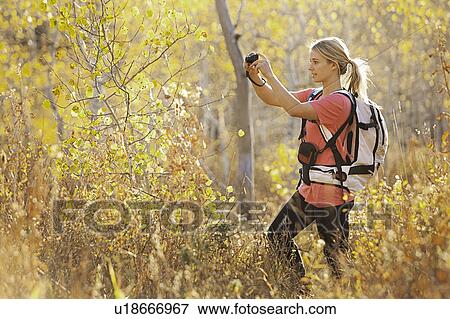 USA, Utah, young woman taking photograph in forest View Large Photo Image Stock Photo - USA, Utah, young woman taking photograph in forest. Fotosearch