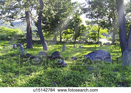Archaeology History Rock Field Tree Grass Sunlight View Large Photo Image Picture - Archaeology History Rock Field Tree Grass Sunlight. Fotosearch
