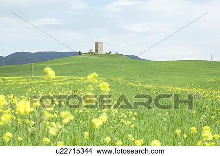 Architecture Hill Meadow Field Oilseed Rape View Large Photo Image Picture - Architecture Hill Meadow Field Oilseed Rape. Fotosearch