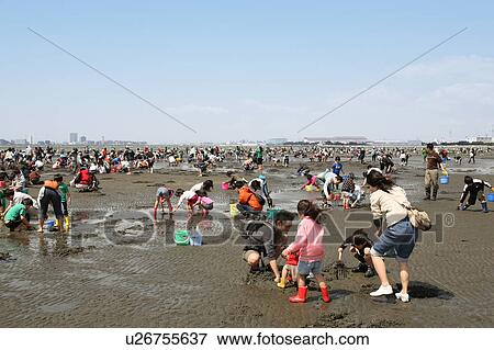 Beach Clam Fishing Sand Bucket Surf Fishing View Large Photo Image Stock Photo - Beach Clam Fishing Sand Bucket Surf Fishing. Fotosearch