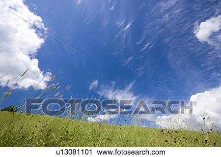Stock Image - Blue Sky Over Field. Fotosearch