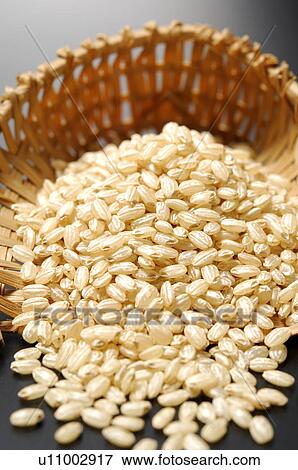 Brown Rice View Large Photo Image Stock Photo - Brown Rice. Fotosearch