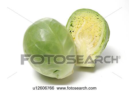 Stock Photograph - Brussels Sprout. Fotosearch