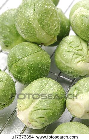 Picture - Brussels Sprouts. Fotosearch