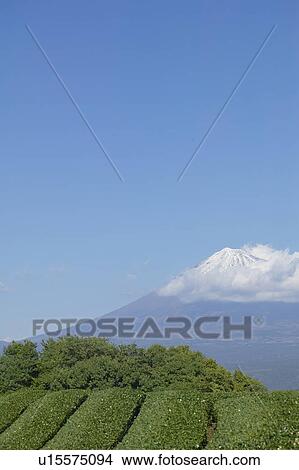 Clear Sky Over Mount Fuji View Large Photo Image Picture - Clear Sky Over Mount Fuji. Fotosearch