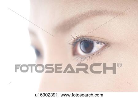 Close Up of Woman's Eyes View Large Photo Image Stock Image - Close Up of Woman's Eyes. Fotosearch