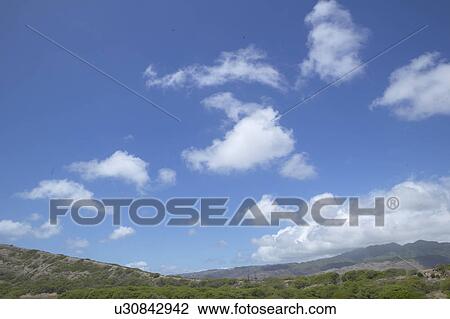 Cumulus Clouds Over Landscape View Large Photo Image Stock Image - Cumulus Clouds Over Landscape. Fotosearch