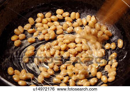 Fermented Soybeans Being Cooked View Large Photo Image Stock Photograph - Fermented Soybeans Being Cooked. Fotosearch