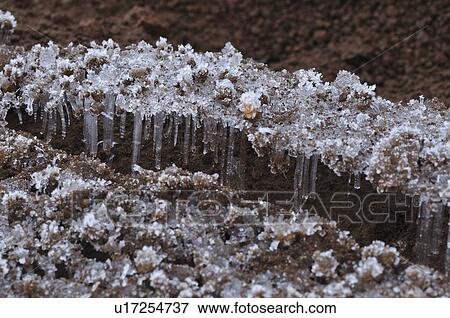 Frozen Ground View Large Photo Image Stock Photo - Frozen Ground. Fotosearch