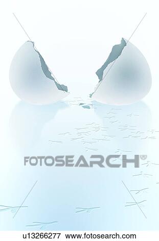 Stock Photo - Hatched Egg. Fotosearch