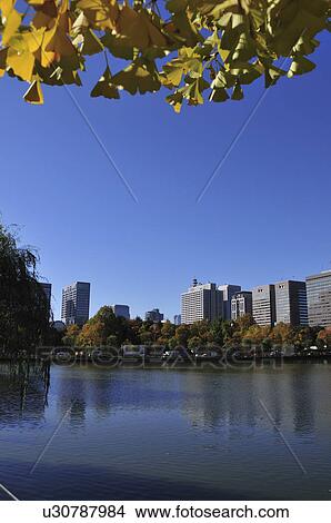 Picture - Kasumigaseki in Autumn. Fotosearch