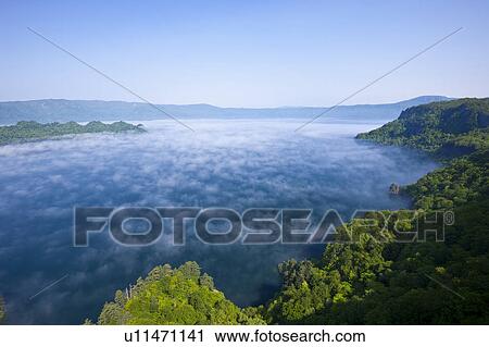 Stock Image - Lake Towada Water Fog Tree Forest High Angle View. Fotosearch