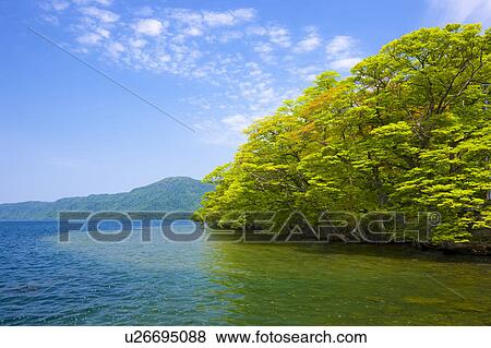 Stock Photo - Lake Towada Water Forest Cloud Sky Mountain Range. Fotosearch