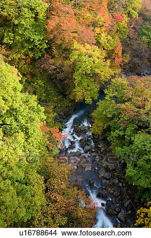 Matsukawa Valley in Autumn View Large Photo Image Picture - Matsukawa Valley in Autumn. Fotosearch