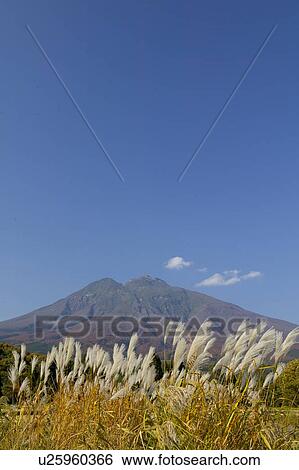 Mount Iwaki View Large Photo Image Stock Photograph - Mount Iwaki. Fotosearch