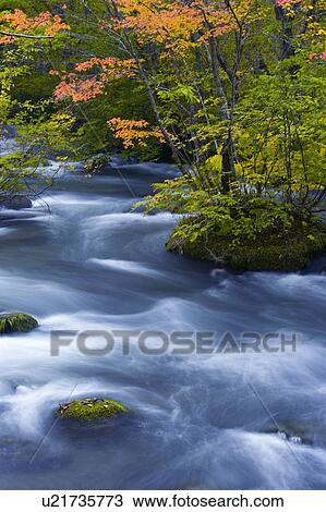 Stock Image - Mountain Stream in Autumn. Fotosearch