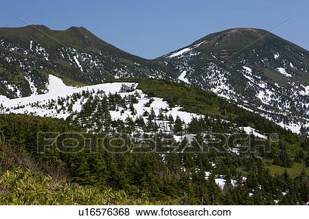 Mt. Hakkoda Snowcapped Cold Temperature Forest View Large Photo Image Stock Photo - Mt. Hakkoda Snowcapped Cold Temperature Forest. Fotosearch