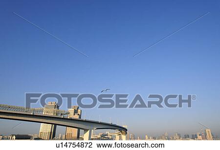 Stock Image - Odaiba and Sea Gulls. Fotosearch