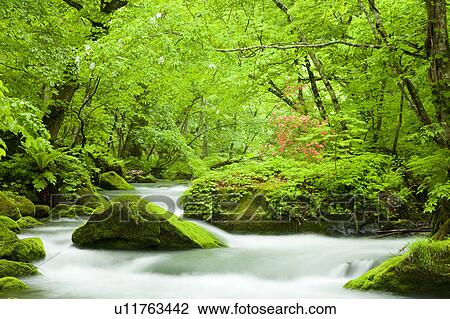 Stock Image - Oirase River Flowing Water Long Exposure Rock Moss. Fotosearch