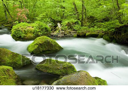 Stock Image - Oirase River Flowing Water Long Exposure Rock Moss. Fotosearch