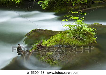 Oirase River Flowing Water Long Exposure Grass View Large Photo Image Stock Photo - Oirase River Flowing Water Long Exposure Grass. Fotosearch
