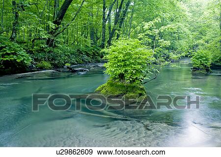 Stock Photo - Oirase River. Fotosearch