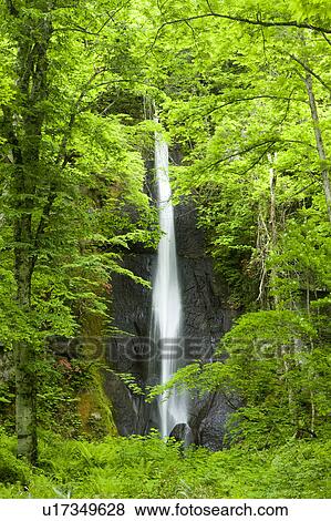 Stock Photo - Oirase River Waterfall Flowing Water Long Exposure. Fotosearch