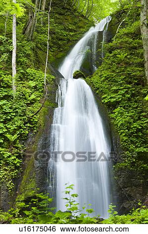 Stock Photograph - Oirase River Waterfall Flowing Water Long Exposure. Fotosearch