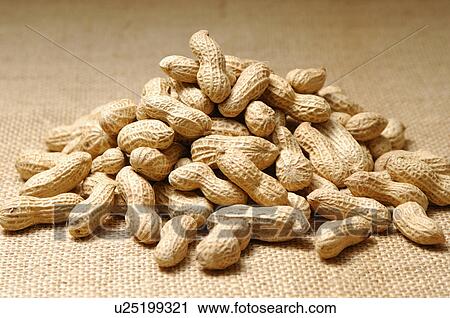 Peanuts View Large Photo Image Stock Image - Peanuts. Fotosearch
