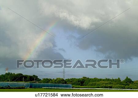 Picture - Rainbow Over Field. Fotosearch