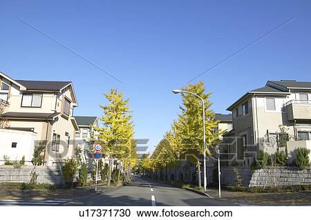 Residential Street View Large Photo Image Stock Image - Residential Street. Fotosearch
