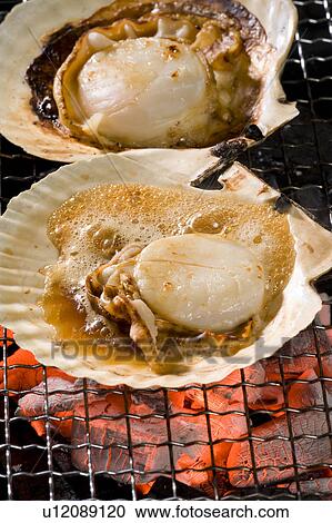 Scallops on Barbecue Grill View Large Photo Image Stock Image - Scallops on Barbecue Grill. Fotosearch