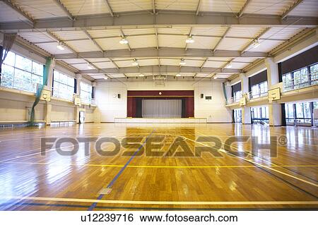 School Gymnasium View Large Photo Image Stock Photograph - School Gymnasium. Fotosearch