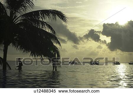 Seascape with Silhouetted Tree, Boats and Man View Large Photo Image Stock Photography - Seascape with Silhouetted Tree, Boats and Man. Fotosearch