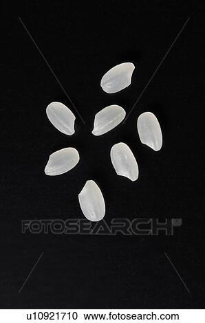 Seven Rice Grains View Large Photo Image Stock Image - Seven Rice Grains. Fotosearch