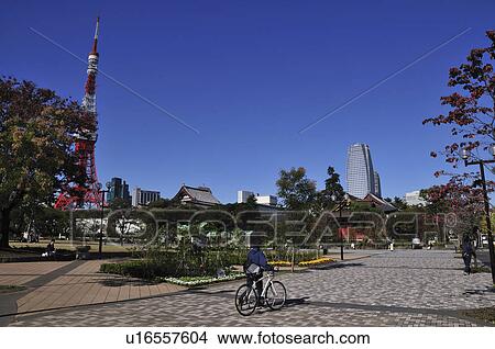Picture - Shiba Park and Tokyo Tower. Fotosearch