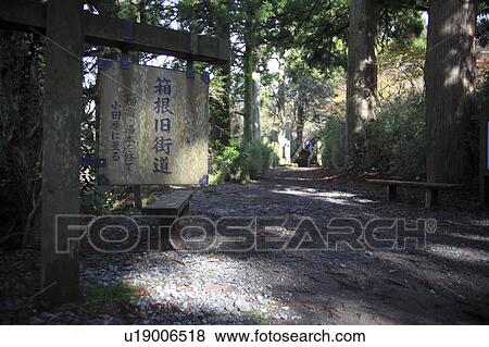 Stock Photo - Sign by Forest Path. Fotosearch