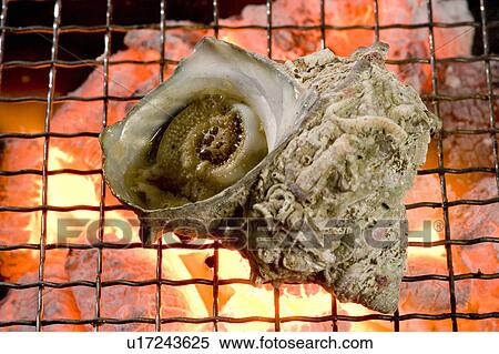 Single Shellfish on Barbecue Grill View Large Photo Image Stock Photography - Single Shellfish on Barbecue Grill. Fotosearch
