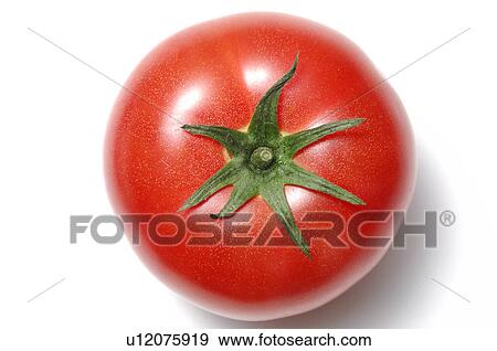 Stock Photo - Single Tomato. Fotosearch