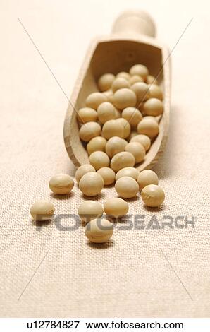Stock Photo - Soybeans. Fotosearch