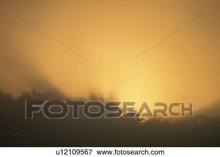 Stock Photo - Sun Rising Behind Trees. Fotosearch