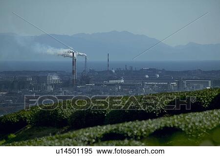 Stock Photography - Tea Plantation near City. Fotosearch