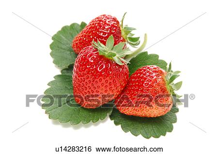 Stock Photograph - Three Strawberries. Fotosearch