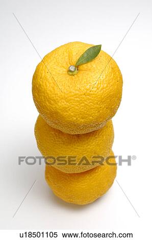 Stock Photography - Three Yuzu Fruits. Fotosearch