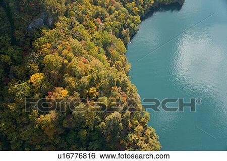Towada Lake and Forest View Large Photo Image Stock Photograph - Towada Lake and Forest. Fotosearch