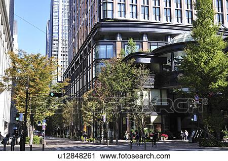 Treelined Street View Large Photo Image Stock Image - Treelined Street. Fotosearch