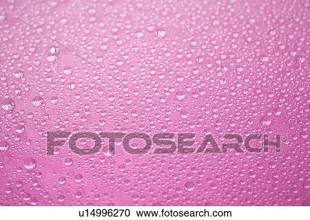Stock Image - Water Drops on Pink Background. Fotosearch