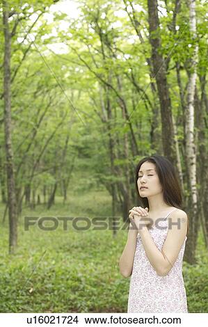 Young Woman Praying in Forest View Large Photo Image Picture - Young Woman Praying in Forest. Fotosearch