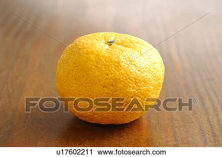 Stock Image - Yuzu Fruit. Fotosearch