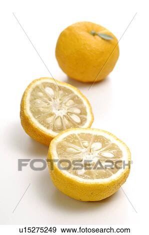 Yuzu Fruits View Large Photo Image Stock Photo - Yuzu Fruits. Fotosearch